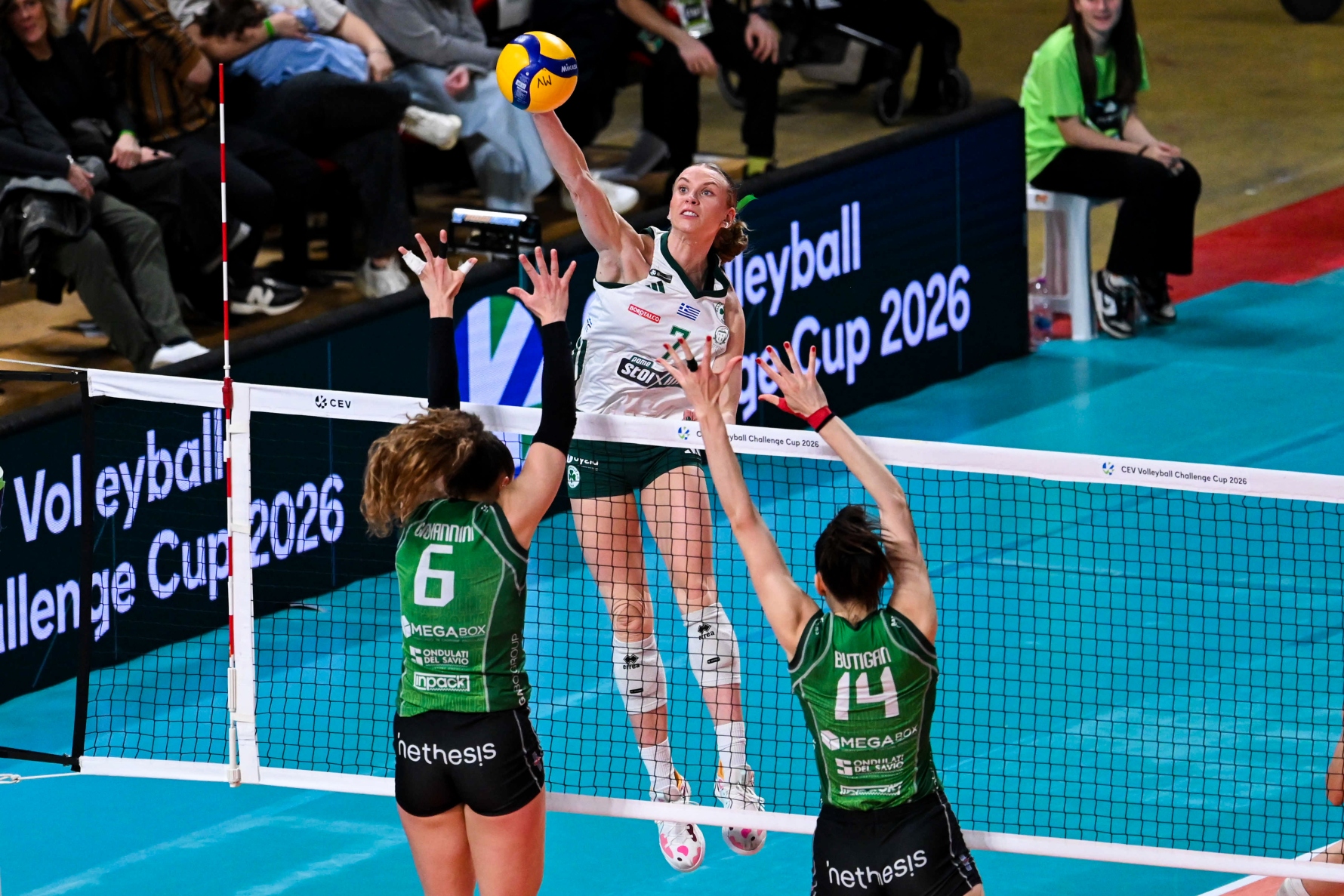 Παναθηναϊκός: Τι χρειάζονται οι βολεϊμπολίστριές του για να κατακτήσουν το Ευρωπαϊκό κόντρα στη Βαλεφόλια