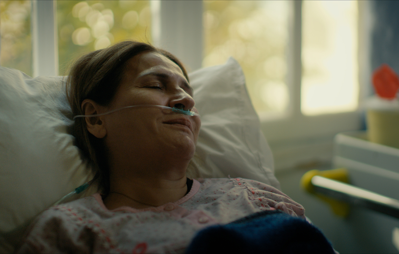 Το μυστικό του δάσους