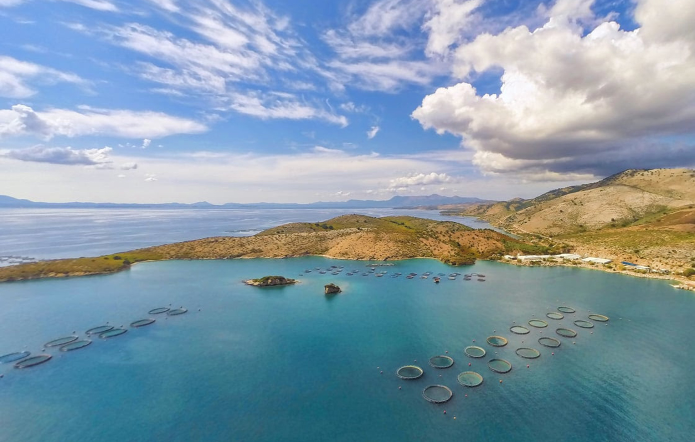 Στον έλεγχο της καναδικής Cooke περνά η Avramar Greece