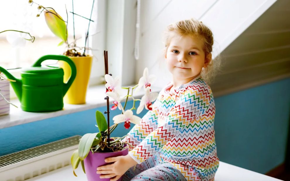 Μήπως μεγαλώνετε ένα παιδί-ορχιδέα; Τα 4 χαρακτηριστικά του και πώς να το διαχειριστείτε
