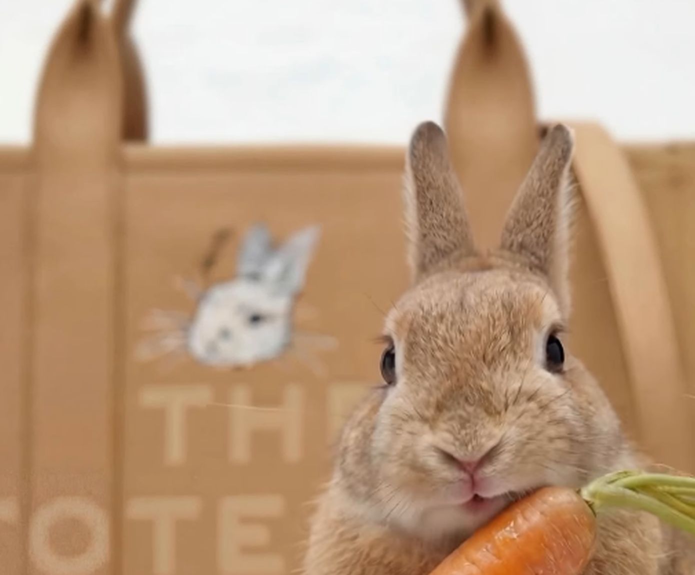 Bark Jacobs: Τώρα η τσάντα σας μπορεί να έχει τυπωμένο το πρόσωπο του κατοικιδίου σας