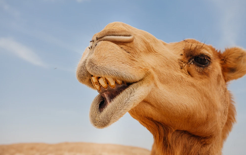 Η άχρηστη πληροφορία της ημέρας 3/3/2026