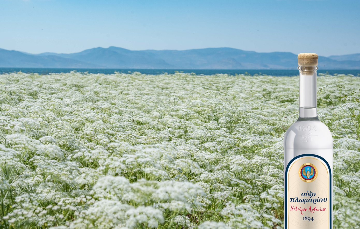 Στο Λισβόρι της Λέσβου ξεκινά μια παράδοση 130 ετών