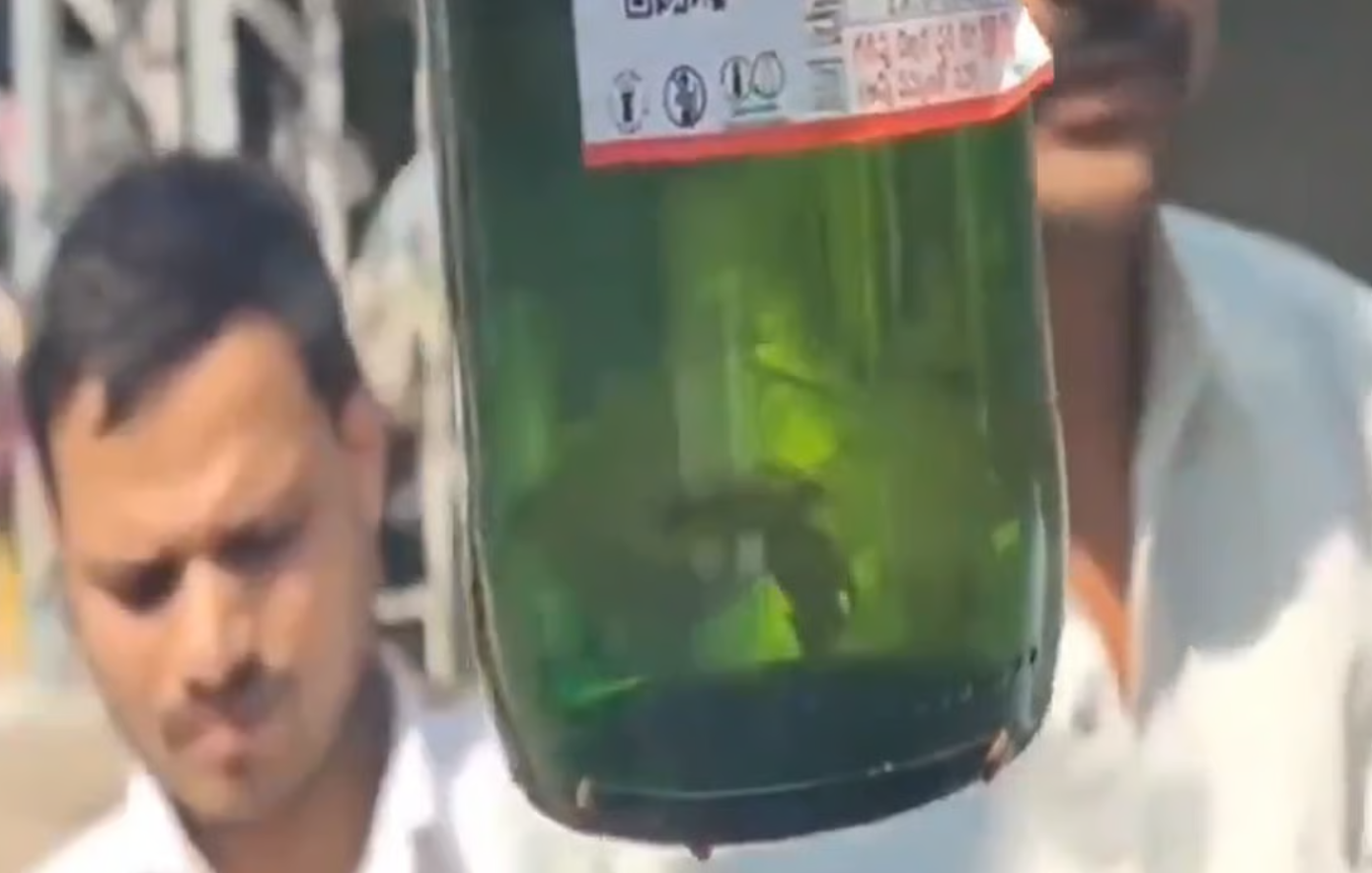 Ινδία: Μικρό ψάρι βρέθηκε σε μπουκάλι μπύρας