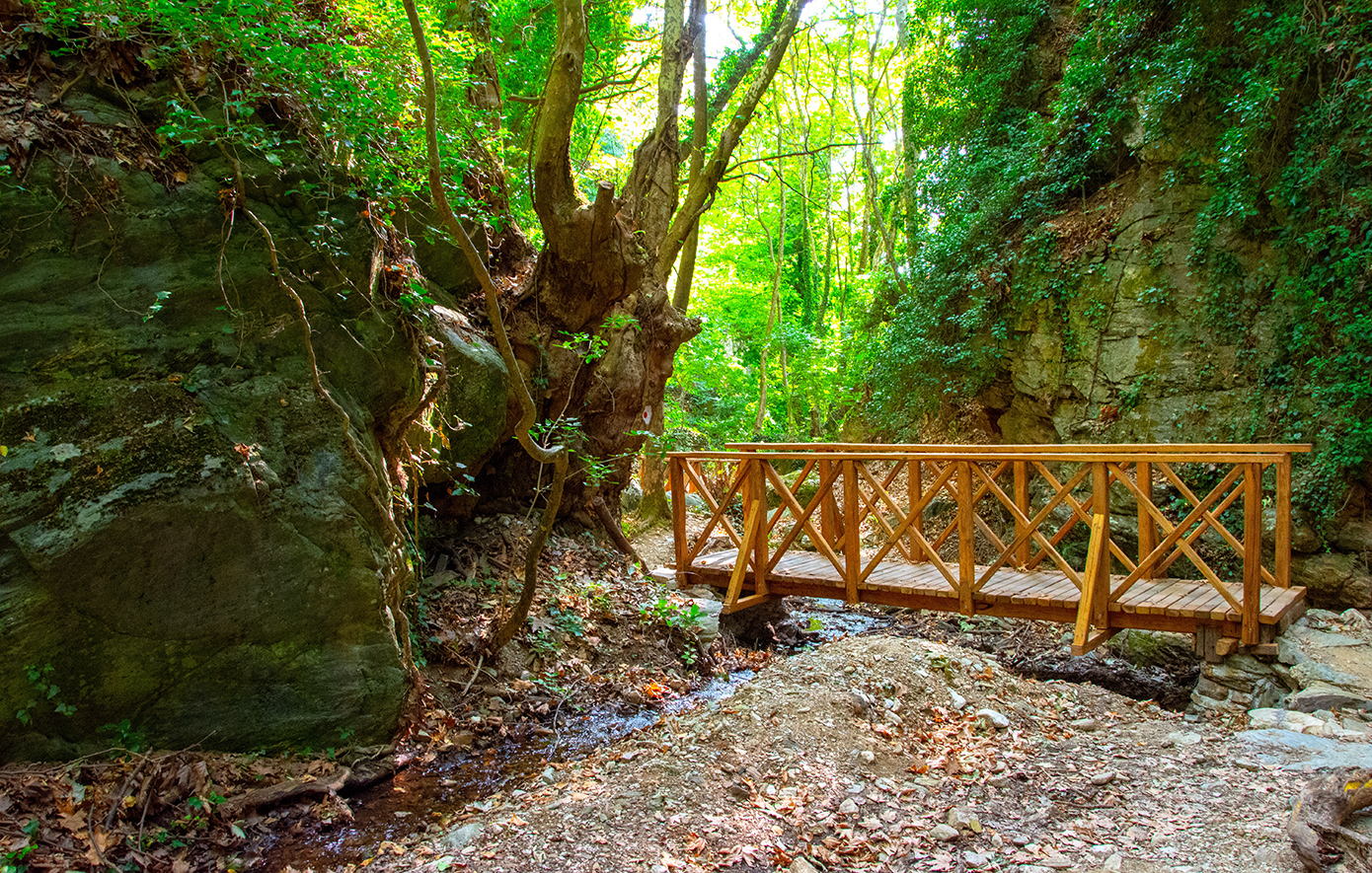 Πορταρια Πήλιο