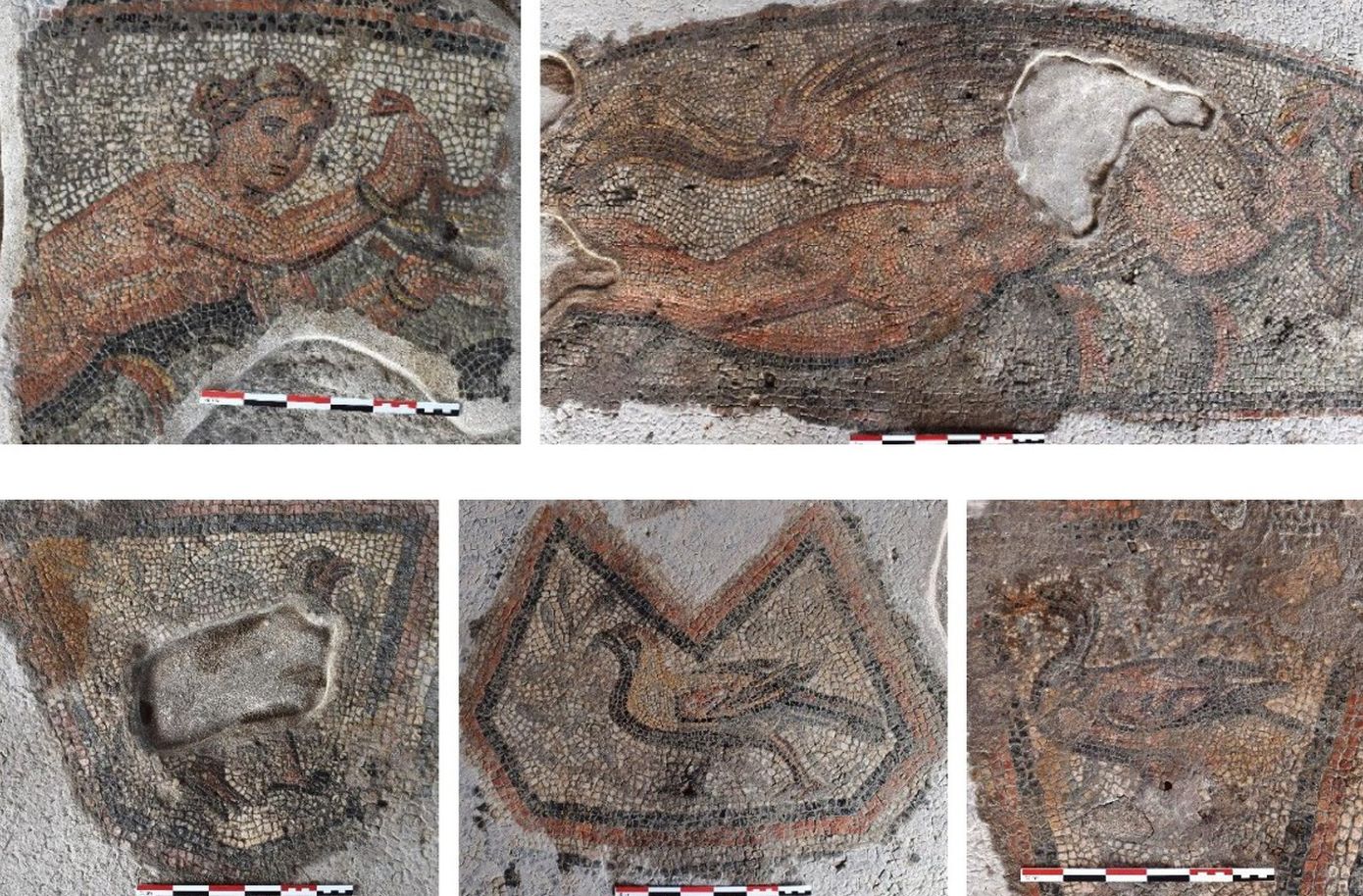 Δρομολογείται η αποκατάσταση και η ανάδειξη ρωμαϊκής έπαυλης στο Αμύνταιο της Φλώρινας, με ψηφιδωτά και τοιχογραφίες