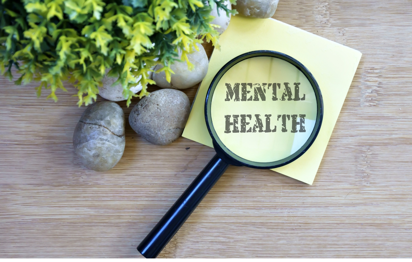 Η ψυχή πίσω από την ασθένεια: Η μεγάλη μάχη για την ολιστική θεραπεία