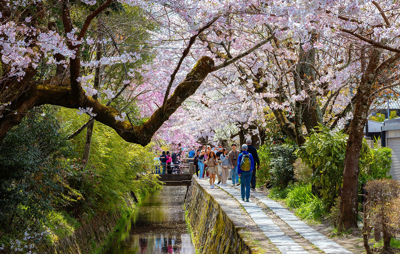 Το μονοπάτι του φιλόσοφου, Κιότο Το μονοπάτι του φιλόσοφου, Κιότο