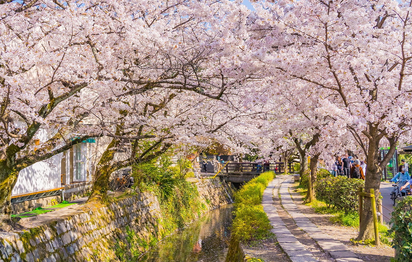 Philosopher’s Path: Το Μονοπάτι της Σιωπής στο Κιότο