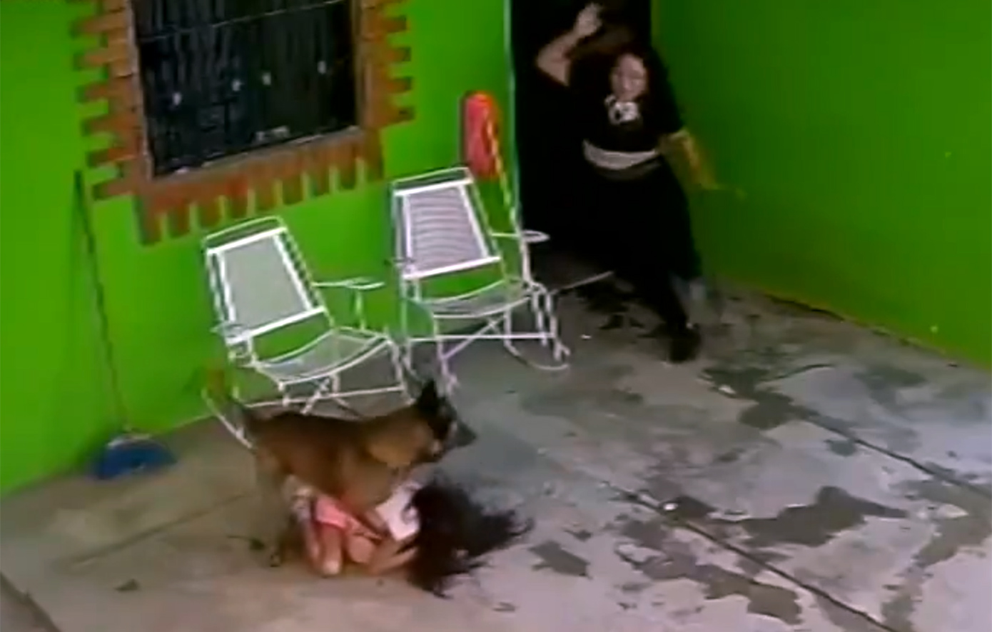 Τρομακτική επίθεση σκύλου σε 7χρονο κορίτσι στο Μεξικό: Την άρπαξε από το κεφάλι και την κουνούσε δεξιά-αριστερά