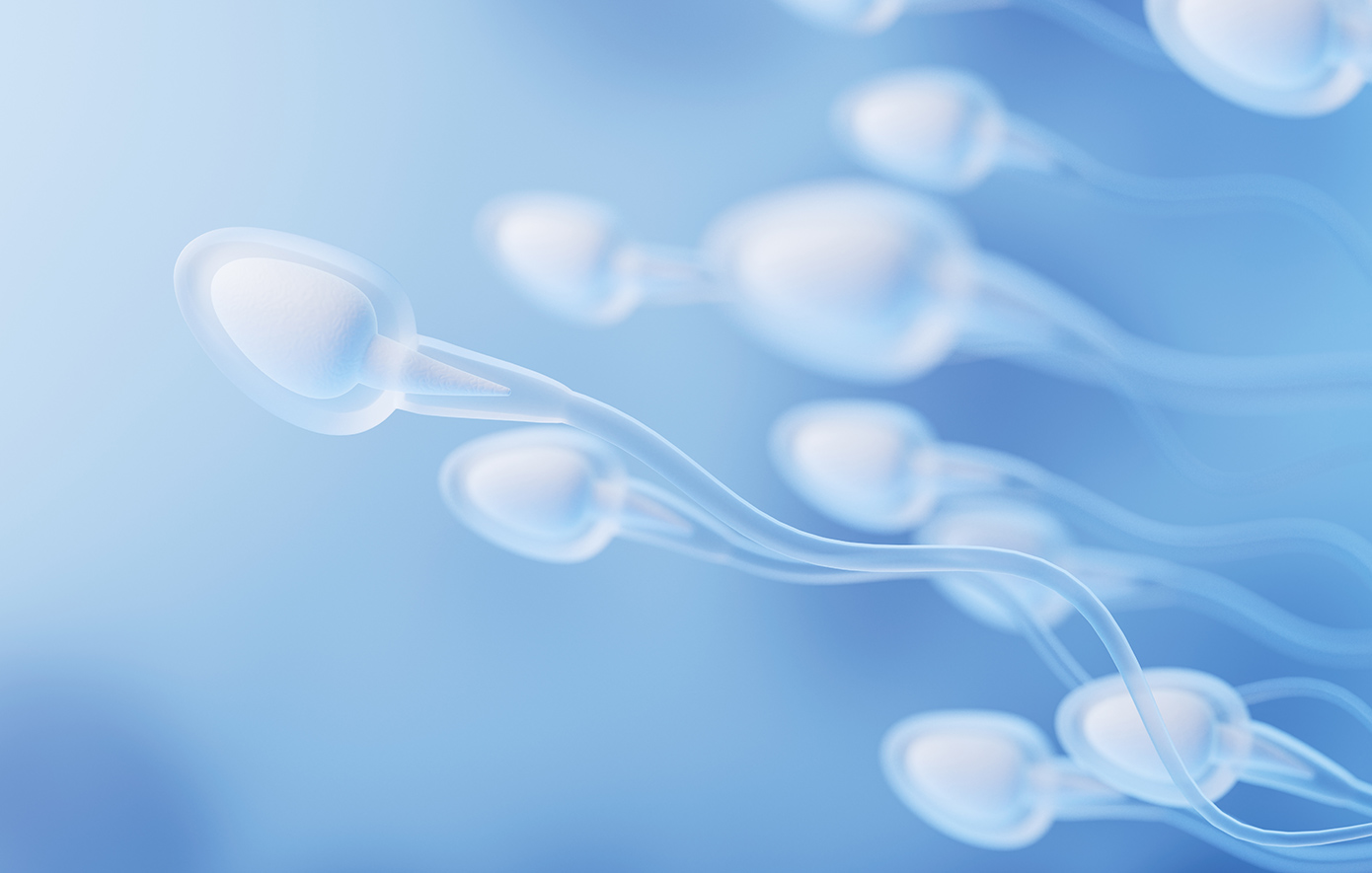 Σε κίνδυνο η αναπαραγωγή στο Διάστημα: Το σπερματοζωάριο «χάνει» τον προσανατολισμό του