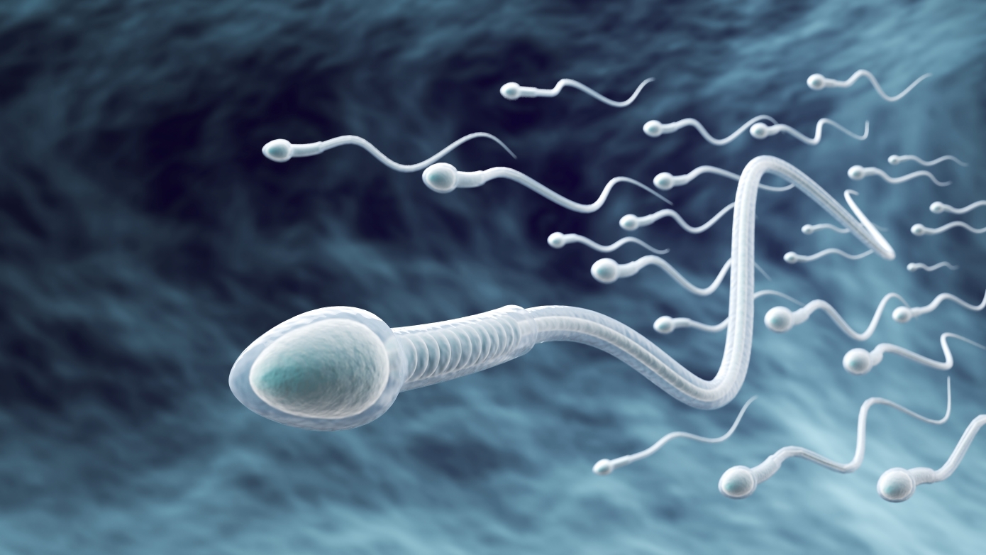Αυτή η κοινή συνήθεια καταστρέφει το σπέρμα σας