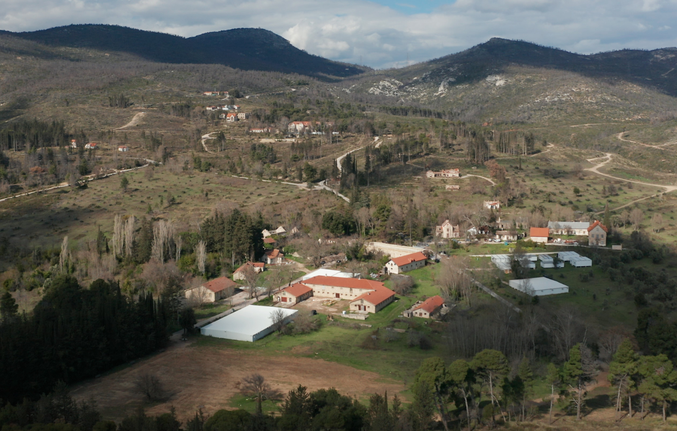 Τατόι: Αυτοί είναι οι 5 «μνηστήρες» για την 65ετή παραχώρηση των πρώην βασιλικών κτημάτων