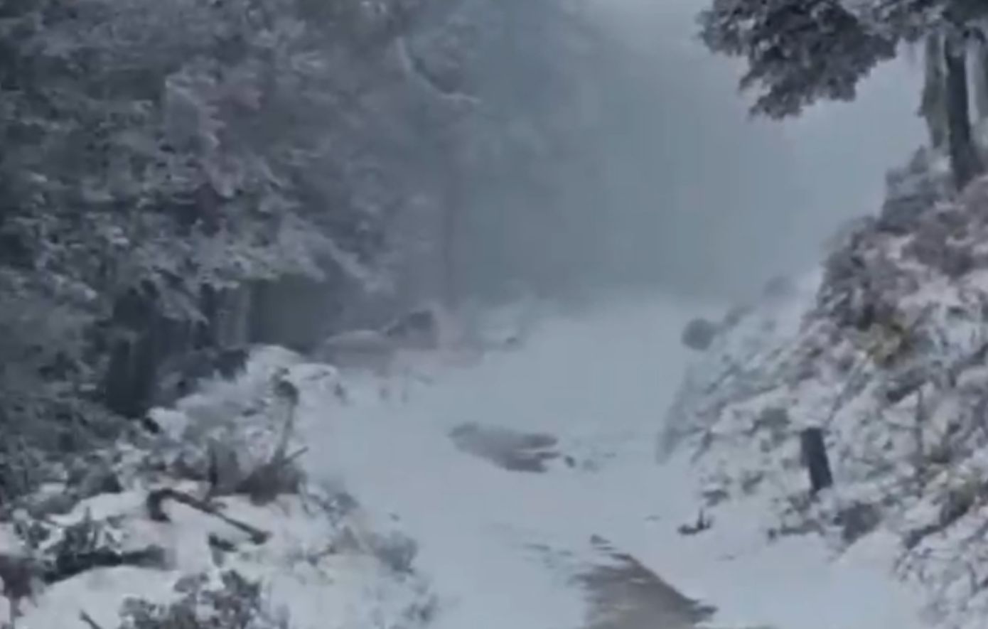 Στα λευκά «ντύθηκε» η Εύβοια &#8211; Έντονη χιονόπτωση στη Δίρφυ