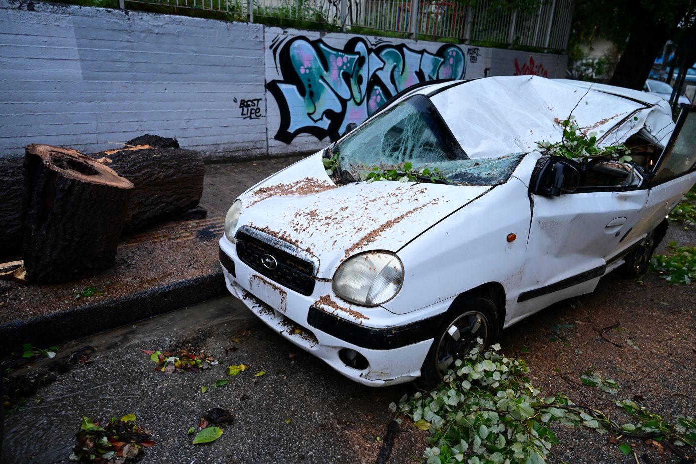 Δέντρο ισοπέδωσε αυτοκίνητο στην Ηλιούπολη &#8211; Δείτε βίντεο