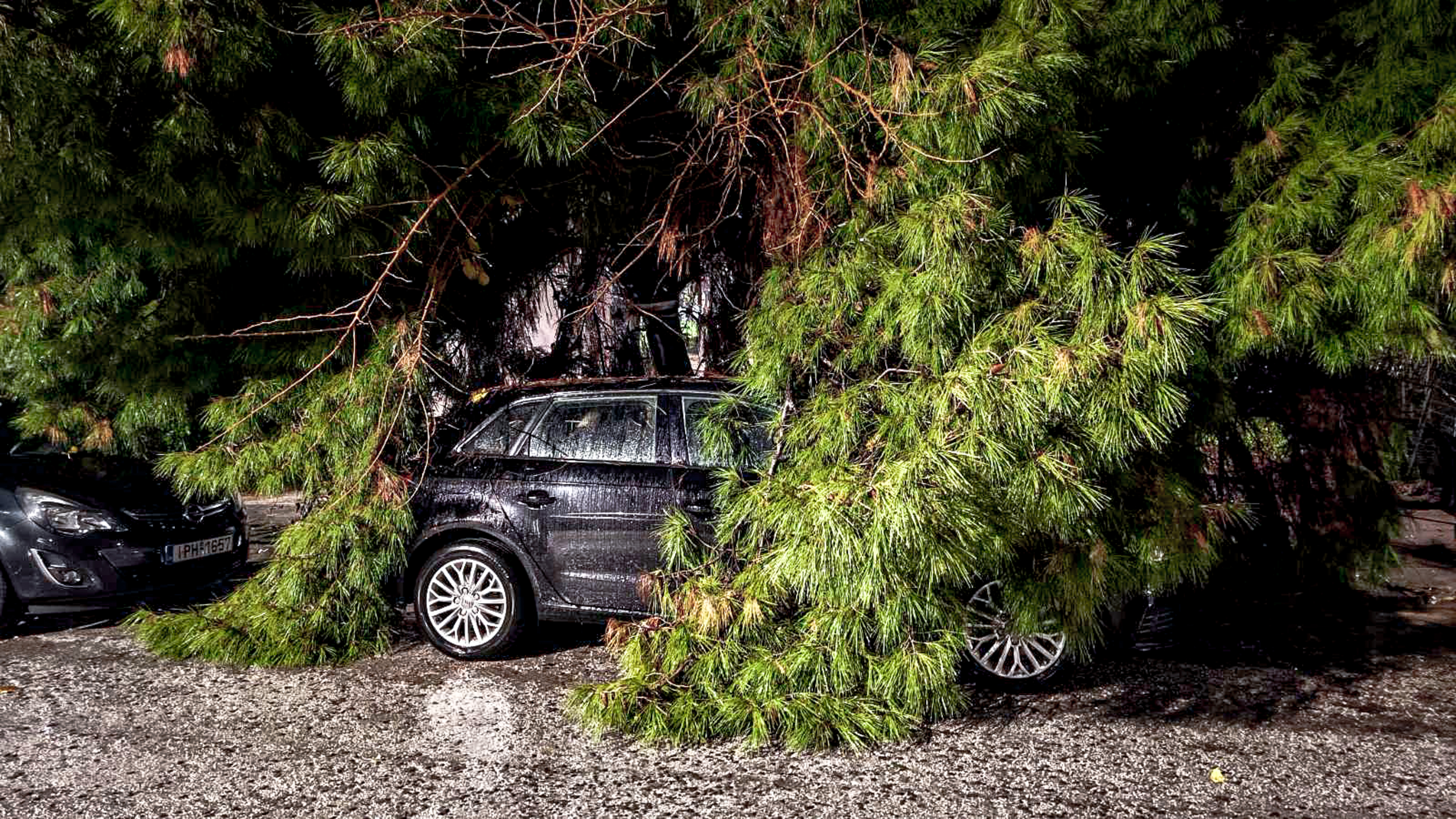 Διεκόπη η κυκλοφορία στην οδό Πειραιώς λόγω πτώσης δέντρου