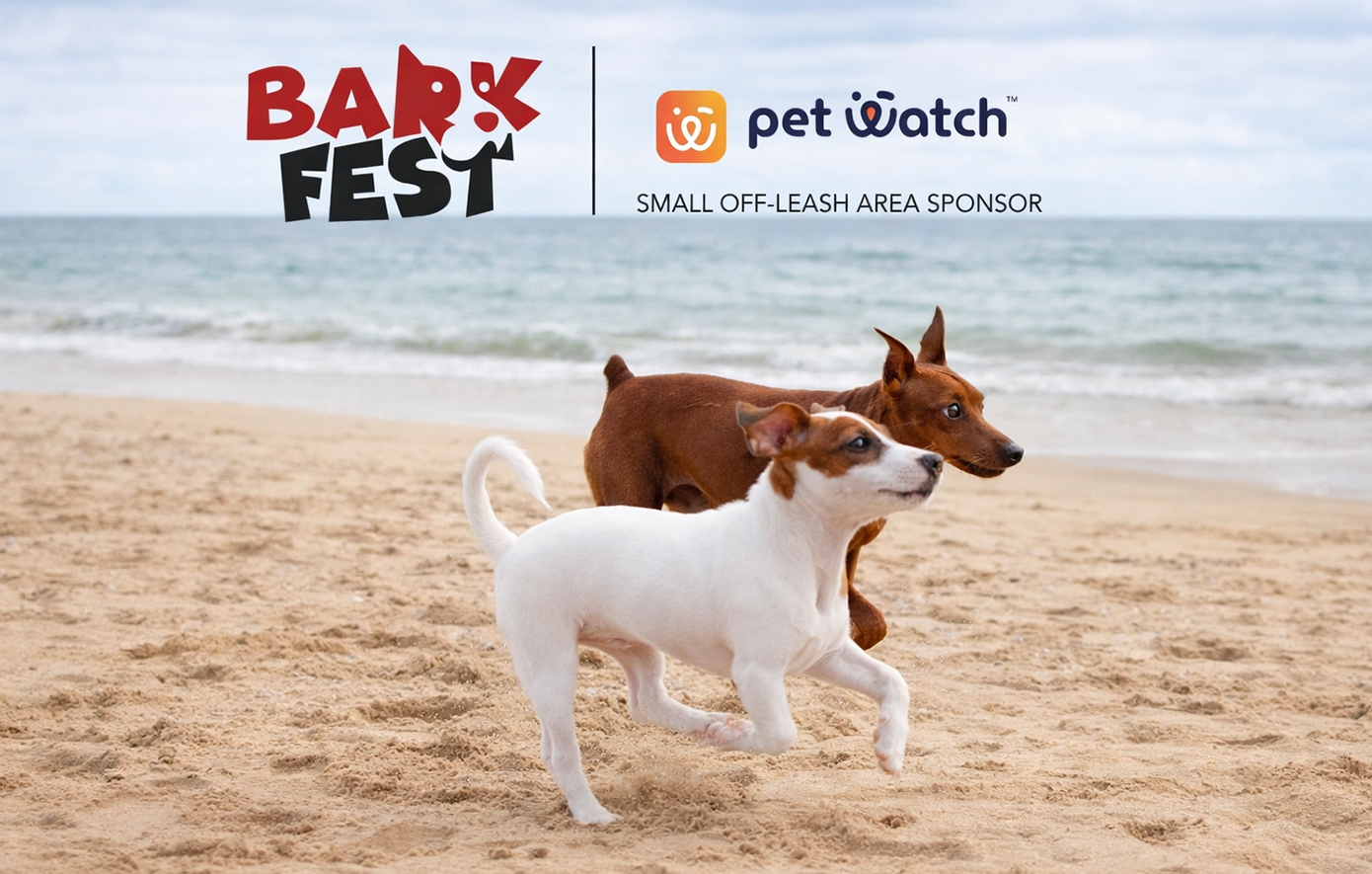 Σκυλάκια με Hermès φουλάρια και μάσκες σκι: Το φεστιβάλ στο Ντουμπάι που ζει «στον κόσμο του» παρά τον πόλεμο στο Ιράν