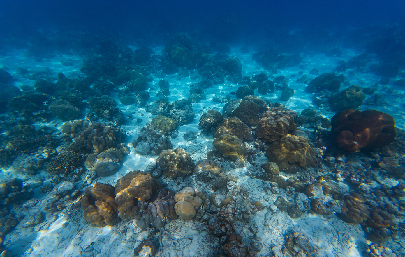 Η Κίνα εκδίδει τον πρώτο «Άτλαντα του Βυθού» και κυριαρχεί στη χαρτογράφηση των σπάνιων γαιών