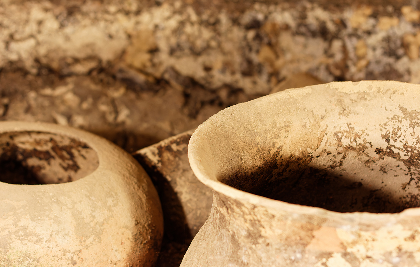 Τι αποκάλυψαν αρχαία περιττώματα 1.800 ετών για την υγεία και την υγιεινή στη «Ρωμαϊκή Βουλγαρία»