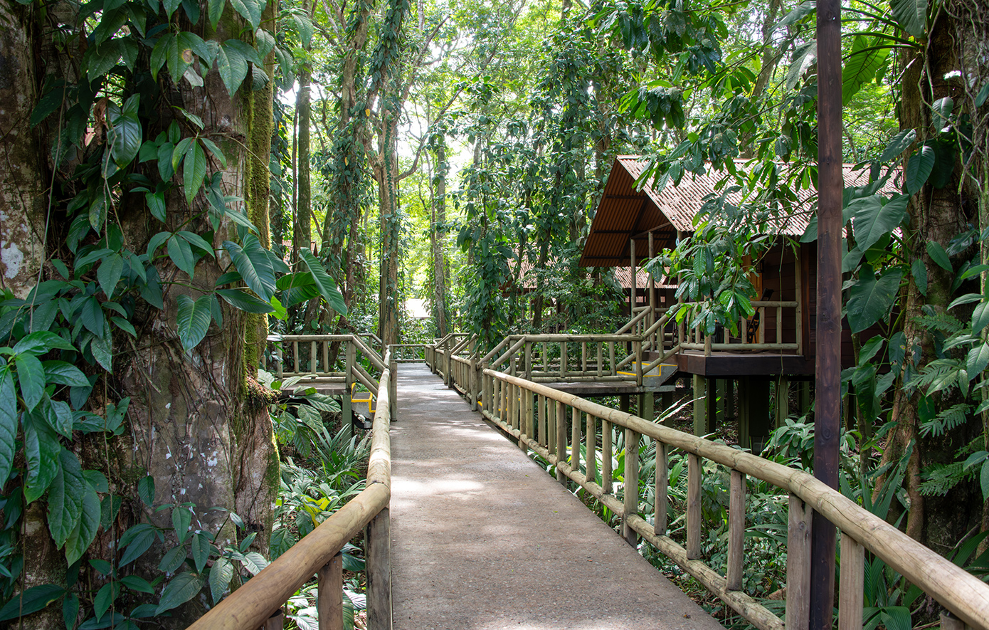 Κόστα Ρίκα Κόστα Ρίκα