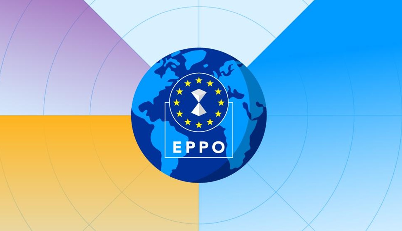 Επτά συλλήψεις στην Τσεχία για απάτη με τις ευρωπαϊκές επιδοτήσεις