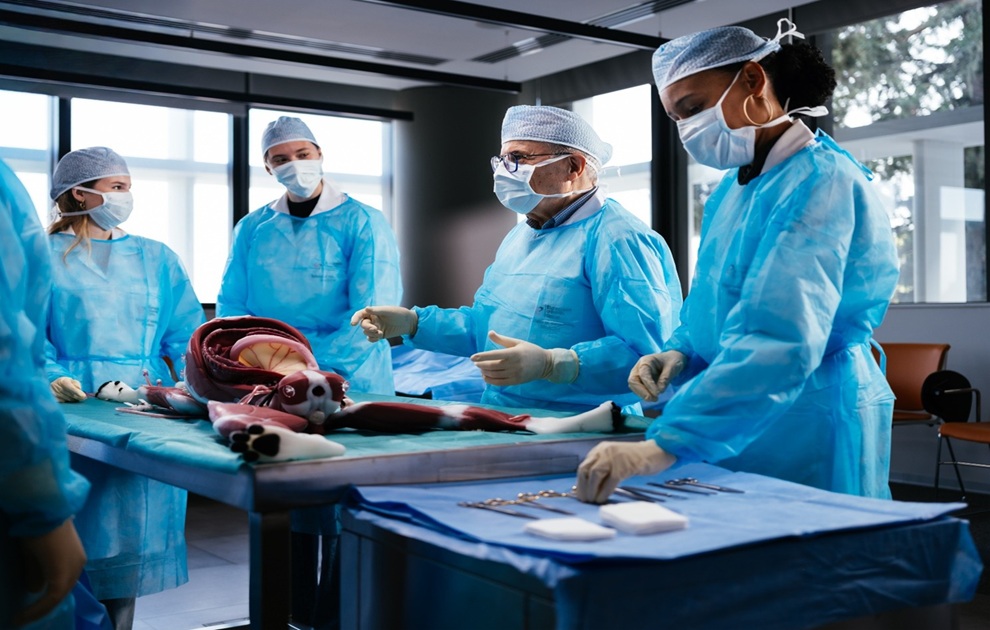 Νέα εποχή στις σπουδές Κτηνιατρικής στην Κύπρο