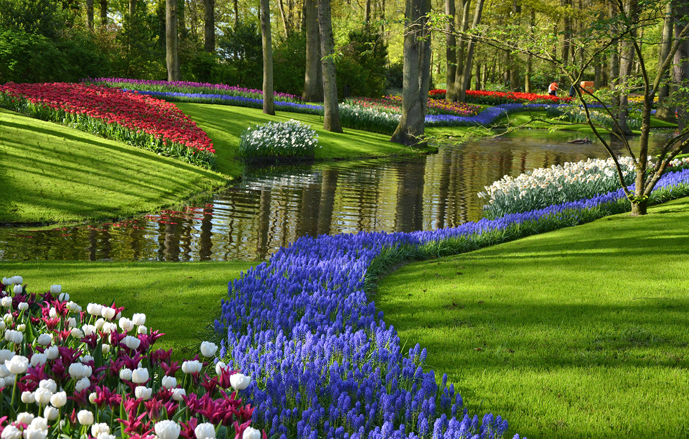 Σε αυτόν τον κήπο θα δείτε από κοντά το επίγειο «ουράνιο τόξο» της Ολλανδίας