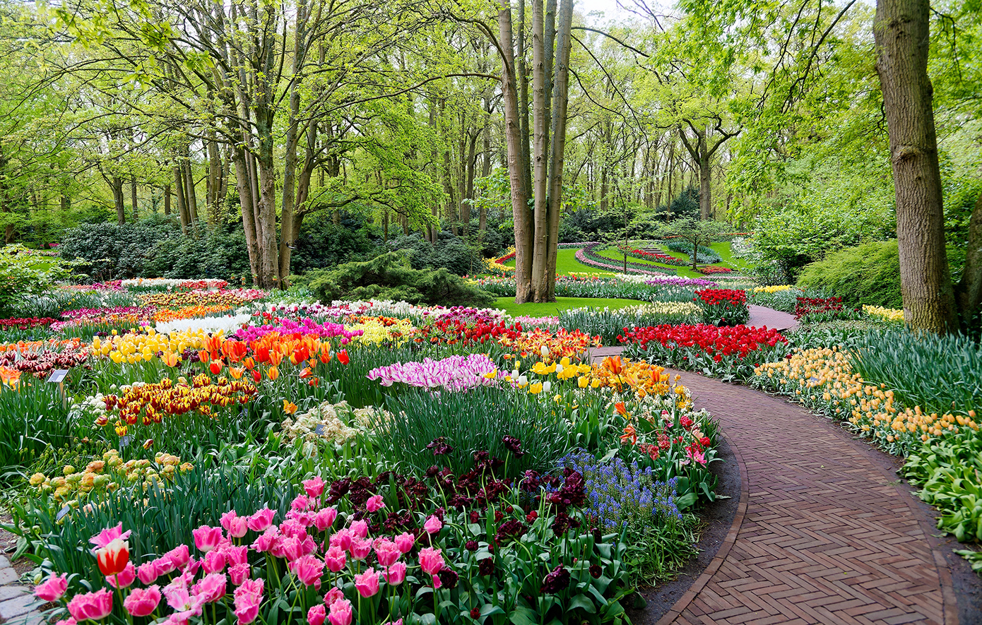 Keukenhof Ολλανδία