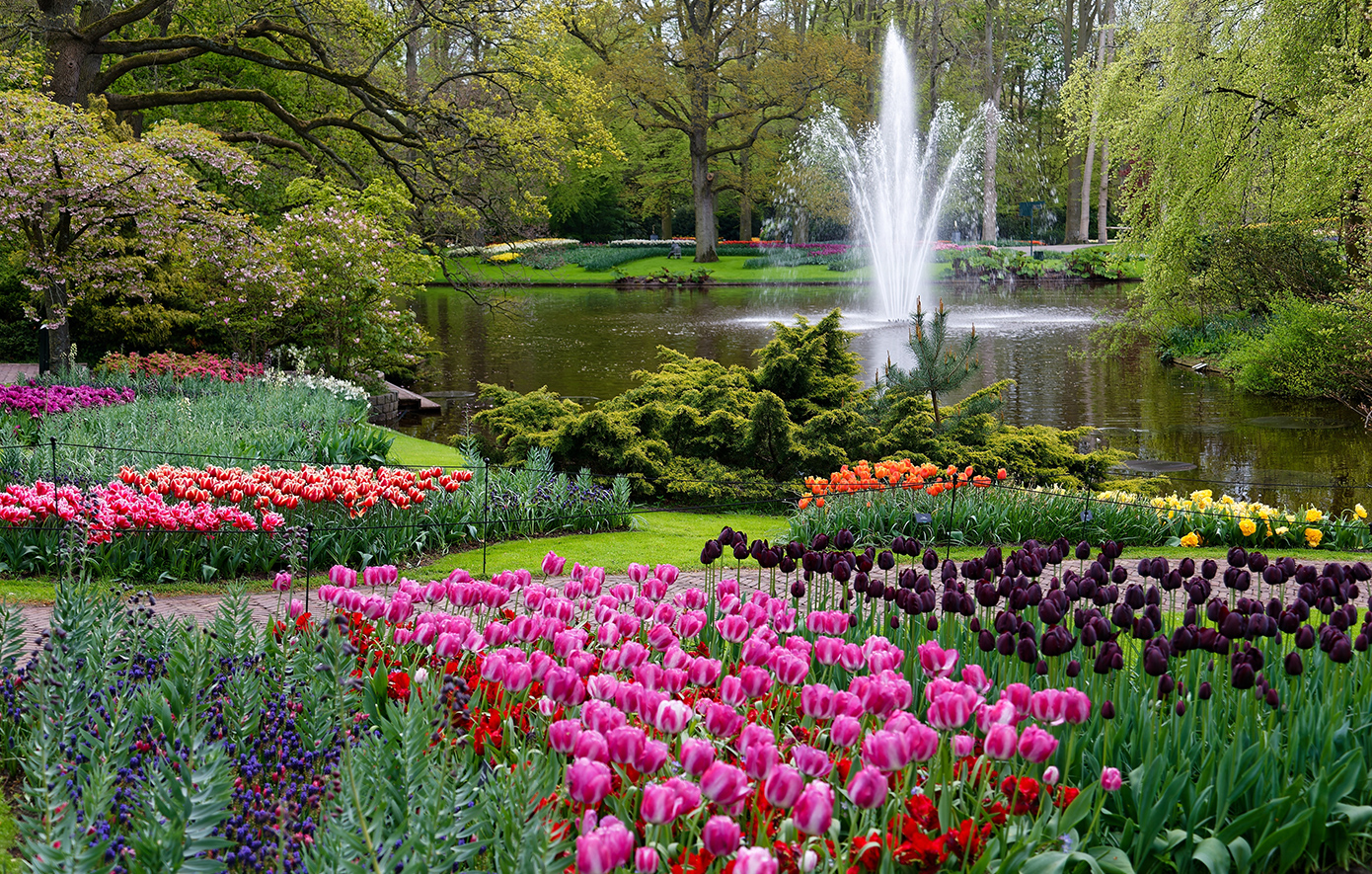 Keukenhof Ολλανδία