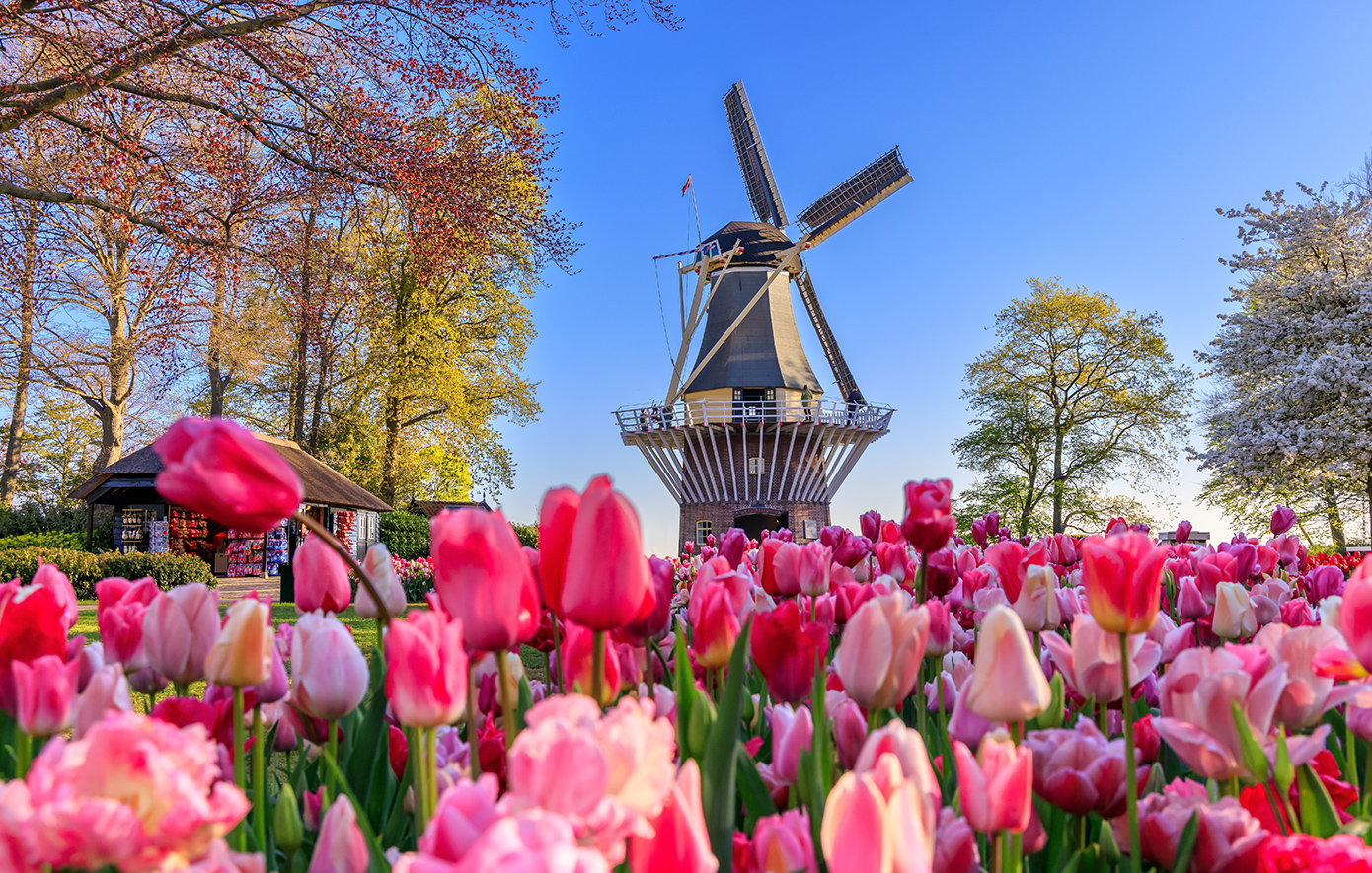 Keukenhof Ολλανδία