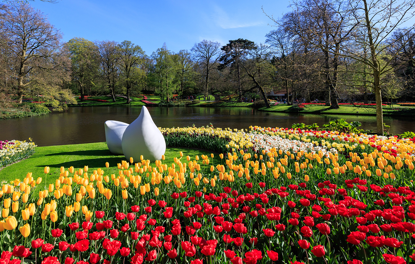 Keukenhof Ολλανδία