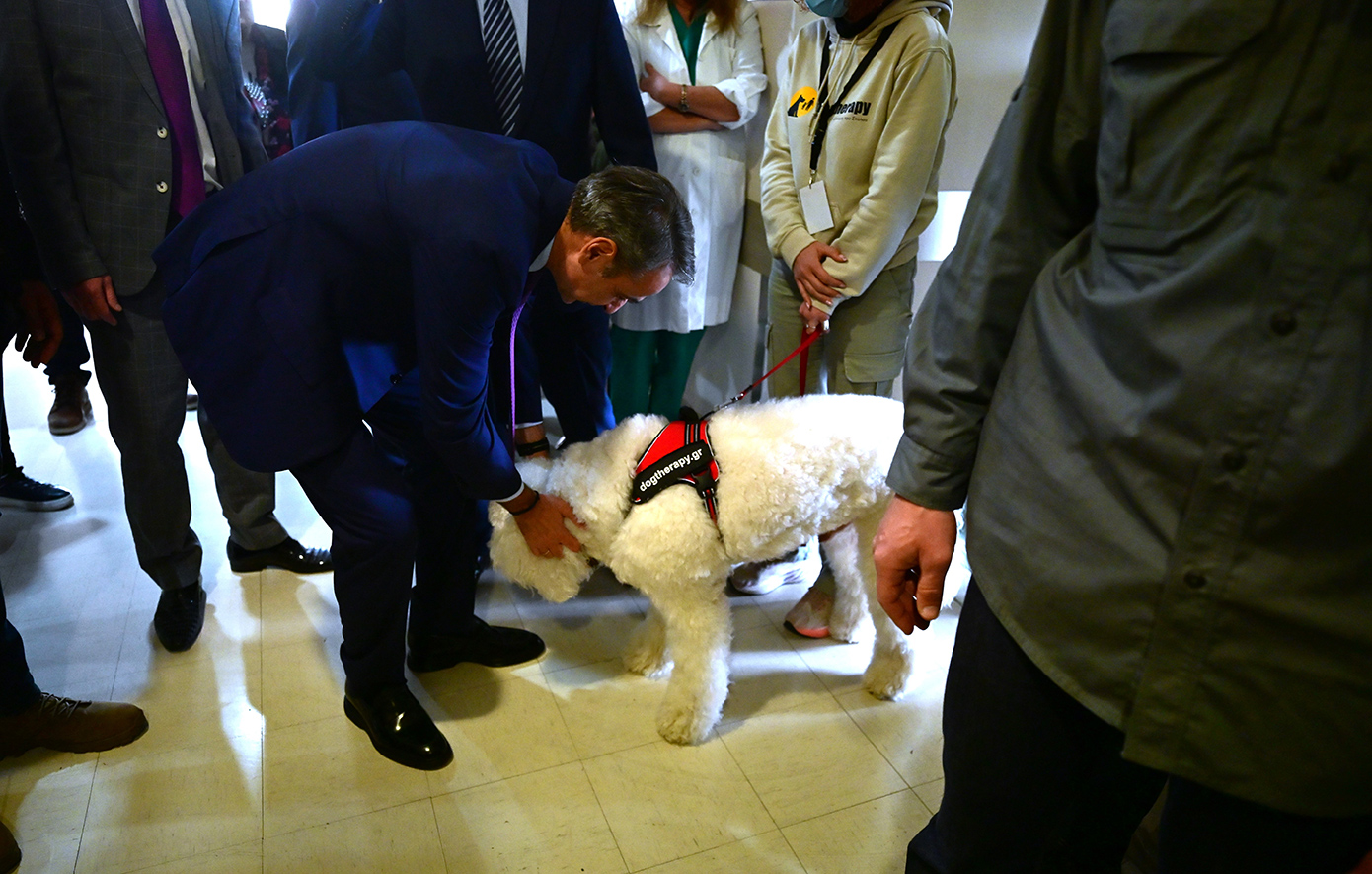 Το πλάσμα που έκλεψε την καρδιά του Κυριάκου Μητσοτάκη στο νοσοκομείο Μεταξά &#8211; Δείτε φωτογραφίες