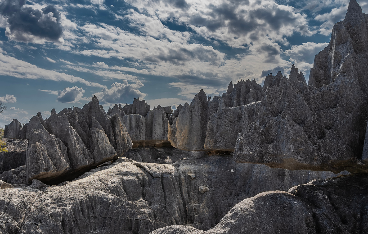 Tsingy de Bemaraha, Μαδαγασκάρη