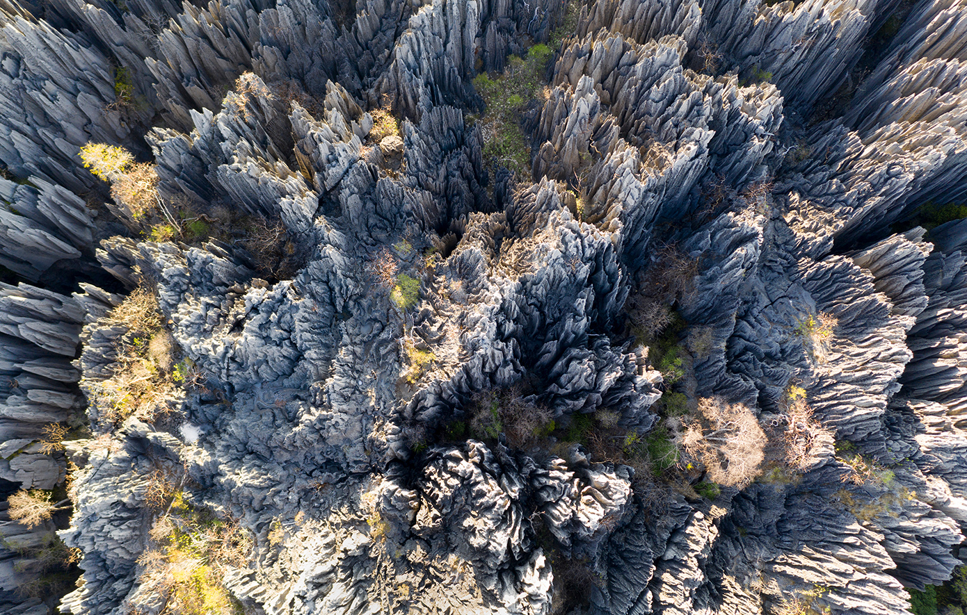 Tsingy de Bemaraha, Μαδαγασκάρη