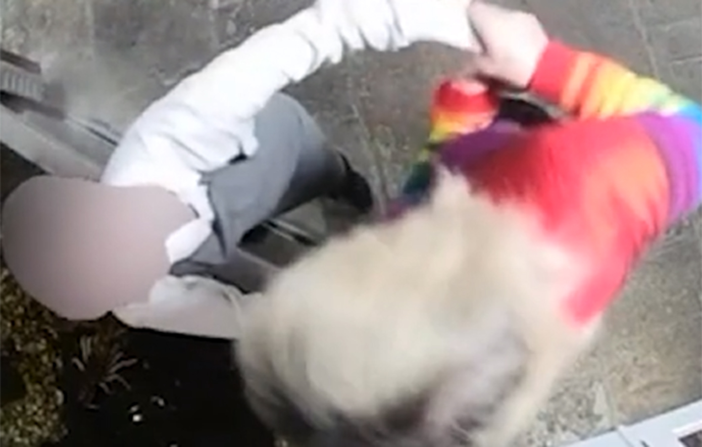 Ακτιβίστρια «απελευθέρωσε» αστακό από εστιατόριο πιστεύοντας λανθασμένα ότι προοριζόταν για κατανάλωση