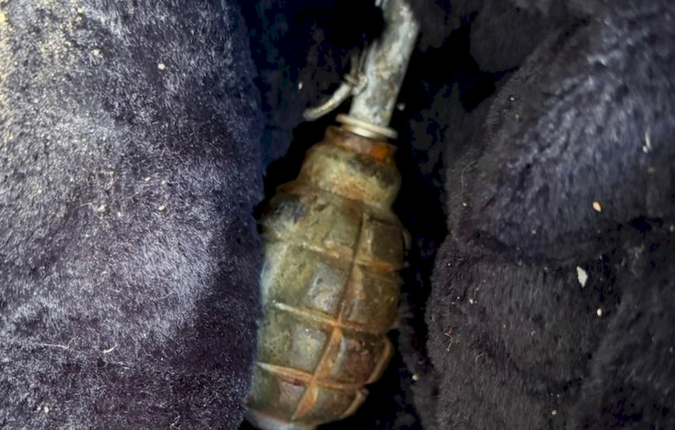 Κυψέλη: Χειροβομβίδα σε μπαλκόνι και καταζητούμενος για ναρκωτικά στα δίχτυα της αστυνομίας