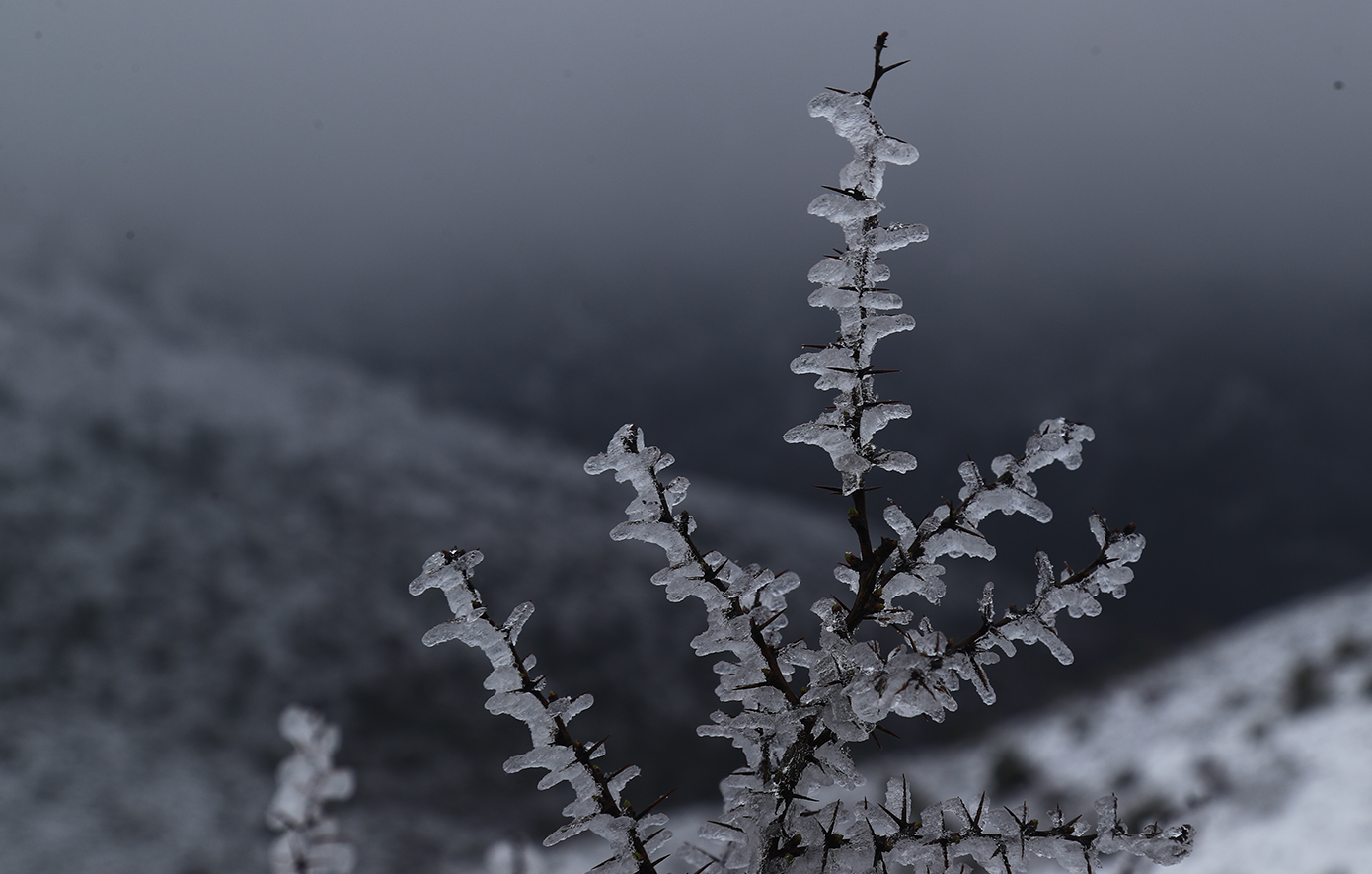 Γιάννης Καλλιάνος: «Θα ξυπνήσουμε με χειμώνα την Πρωτομαγιά» &#8211; Τοπικές χιονοπτώσεις στα ηπειρωτικά