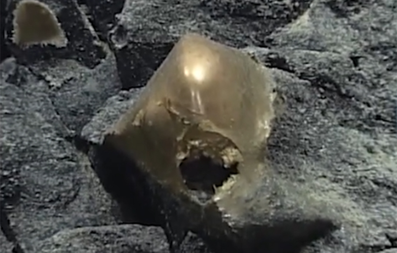 Λύθηκε το μυστήριο του «χρυσού αυγού» στον βυθό της θάλασσας &#8211; Τι αποκάλυψαν οι επιστήμονες ύστερα από τρία χρόνια ερευνών