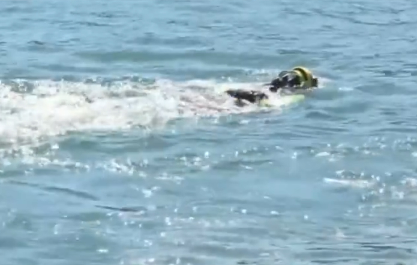 Λεωφορείο κατέληξε στον Σηκουάνα μετά από λάθος εκπαιδευόμενου οδηγού &#8211; Σώοι οι επιβάτες