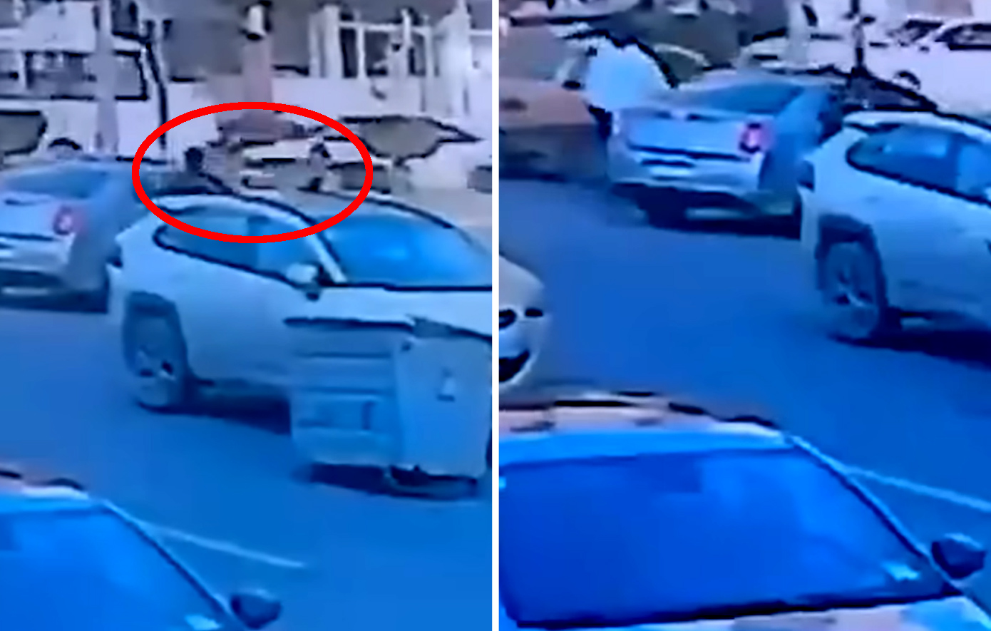 H στιγμή που απαγάγουν Αμερικανίδα δημοσιογράφο στη Βαγδάτη &#8211; Σε εξέλιξη οι έρευνες για την απελευθέρωσή της