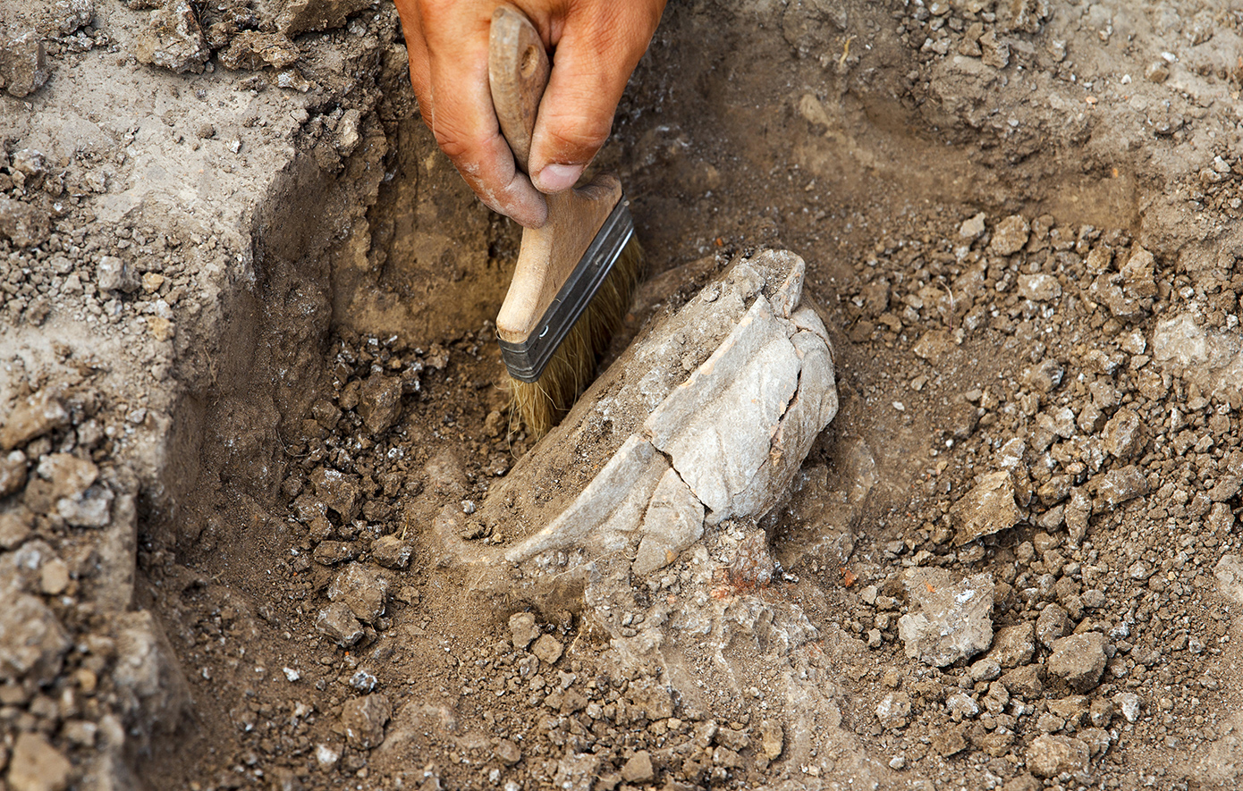 Σπάνιο αρχαιοελληνικό νόμισμα του 3ου αιώνα π.Χ. βρέθηκε σε πόλη του Βερολίνου από 13χρονο μαθητή