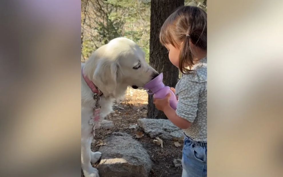Ξεκαρδιστικό βίντεο: Δίχρονο κοριτσάκι λέει στον σκύλο να προσέχει αλλά…
