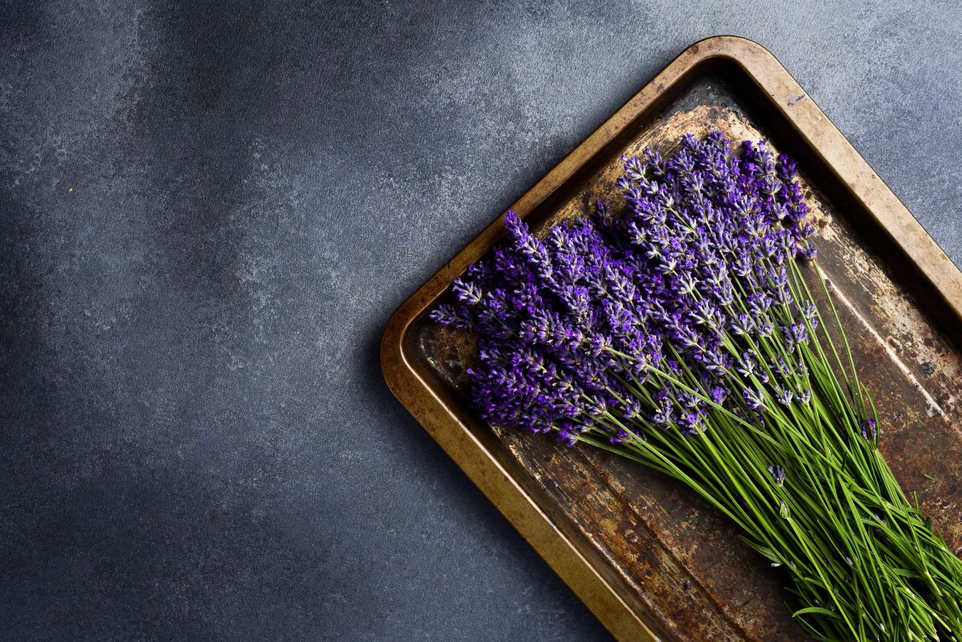 Τι να φυτέψετε τον Απρίλιο για μια γεμάτη χρώμα και άρωμα βεράντα ή κήπο