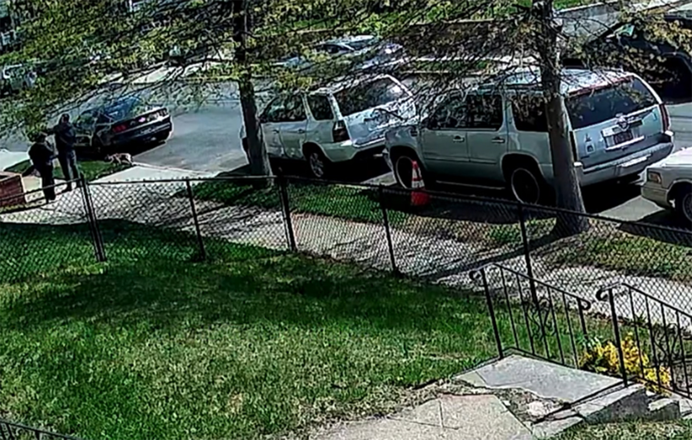 Σκύλος ούρησε έξω από το σπίτι του και οι γείτονες δεν ξέφυγαν από τη δολοφονική μανία του ιδιοκτήτη – Απίστευτες σκηνές στη Νέα Υόρκη