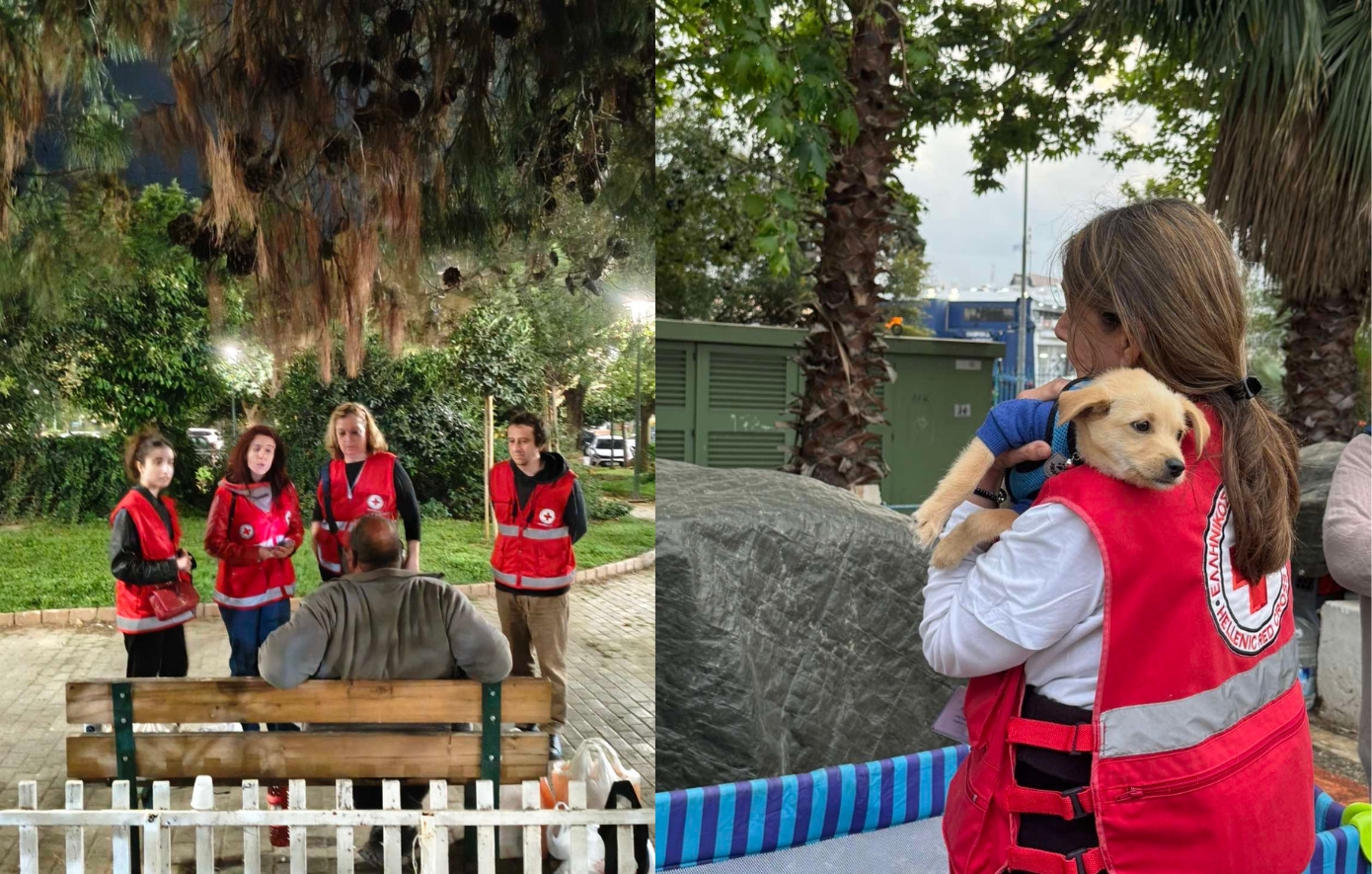 Ελληνικός Ερυθρός Σταυρός