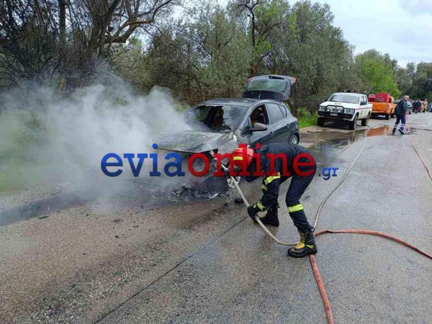 Τρόμος για οικογένεια στην Εύβοια &#8211; Το αυτοκίνητό τους έπιασε φωτιά εν κινήσει