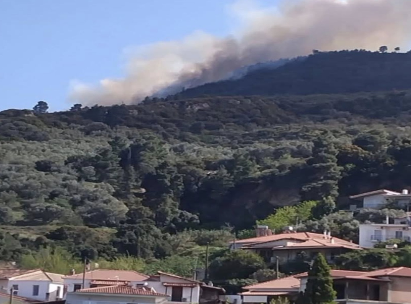 Συνελήφθη 51χρονος για τη φωτιά στην Αχαΐα &#8211; Πήγε να κάψει υπολείμματα καλλιεργιών