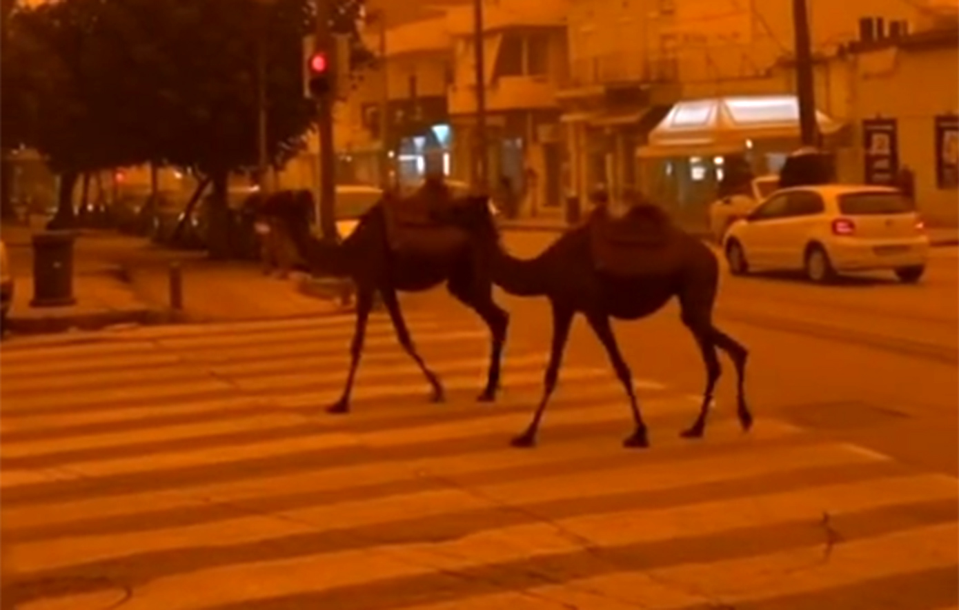 Η χθεσινή αποπνικτική ατμόσφαιρα από την αφρικανική σκόνη και οι δημιουργίες AI στα social media &#8211; Έφτιαξαν βίντεο με καμήλες να κυκλοφορούν στην Κρήτη