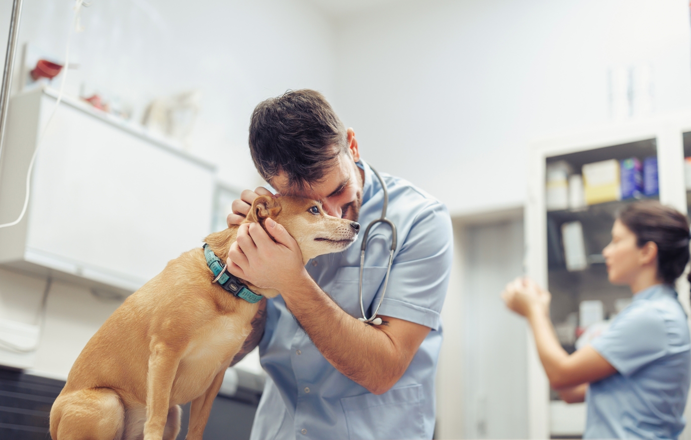 VetMedSafety Day: Ενημέρωση για την ορθή χρήση κτηνιατρικών φαρμάκων