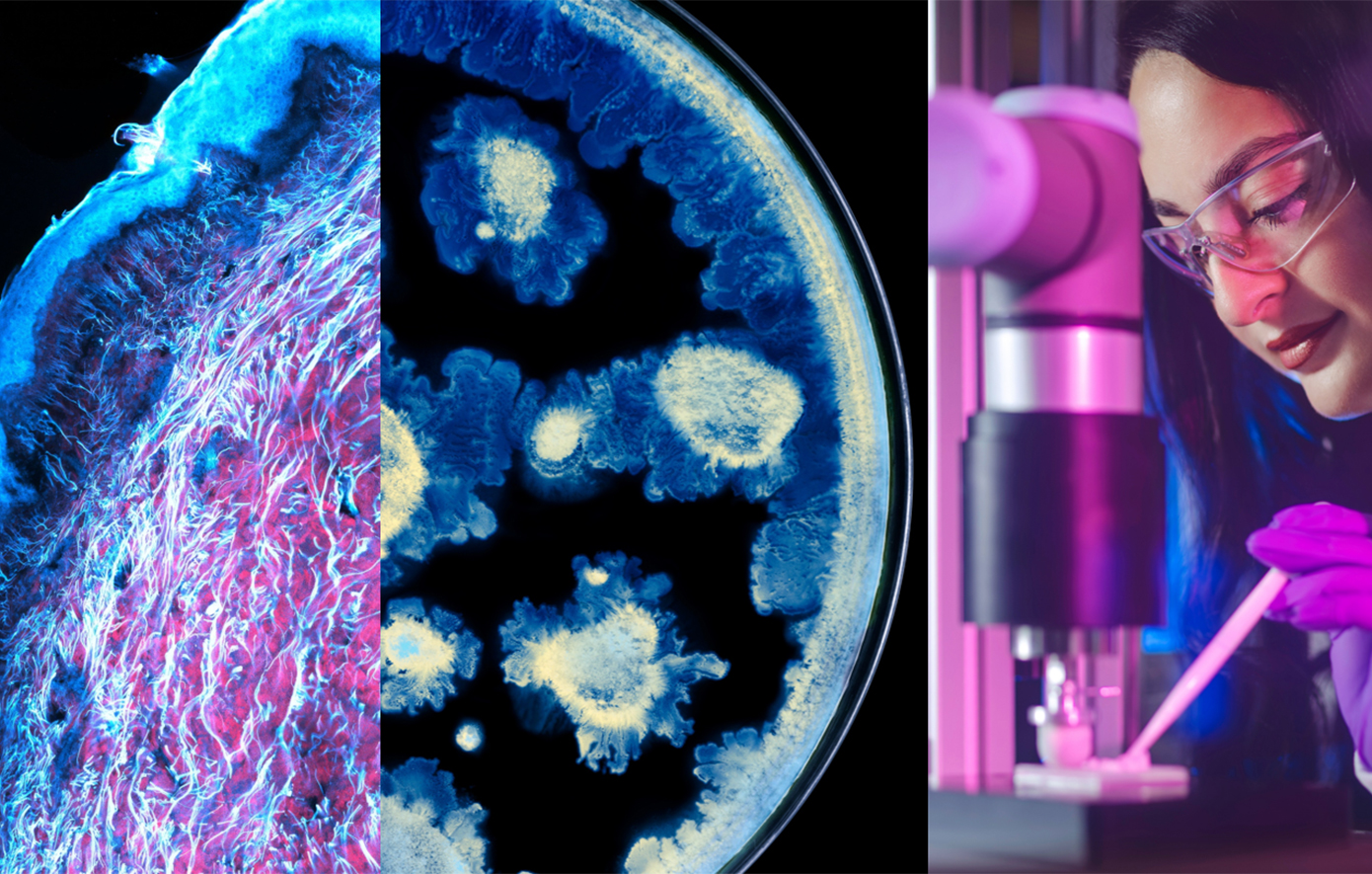 Η L&#8217;Oréal και το Institut Pasteur ανακοινώνουν μια ιστορική συνεργασία για την προαγωγή της επιστήμης της υγείας της επιδερμίδας